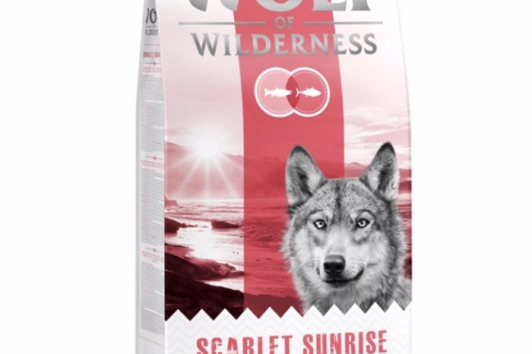 Ogłoszenie - Wolf of Wilderness Adult "Scarlet Sunrise", łosoś i tuńczyk - 23,80 zł
