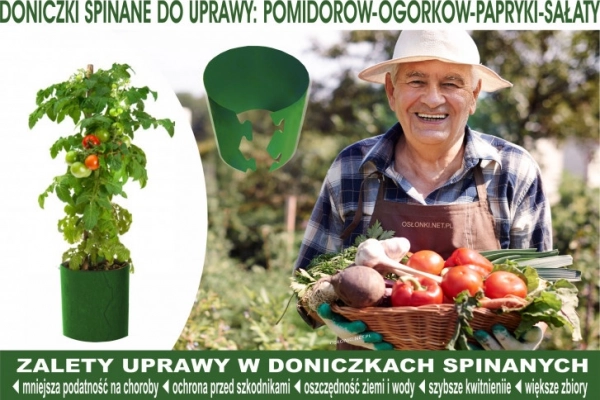 Ogłoszenie - Cylindry do POMIDORÓW uprawa na działce w ogródku 20x18 - 1,00 zł