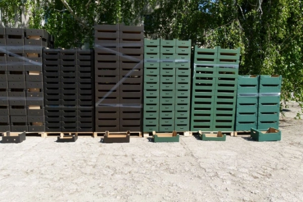 Ogłoszenie - DREWNIANE SKRZYNECZKI DO KAPUSTY I KALAFIORA - 1,00 zł