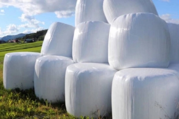 Ogłoszenie - Folia Sianokiszonka Bąbelkowa Stretch Maszynowa Spożywcza - 160,00 zł