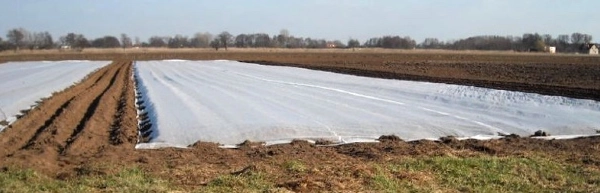 Ogłoszenie - Agrasil P23 - 1,00 zł