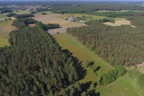 Ogłoszenie - Działka rolna z warunkami zabudowy w Prusowym Borku! Mazury - Szczytno - 300 000,00 zł