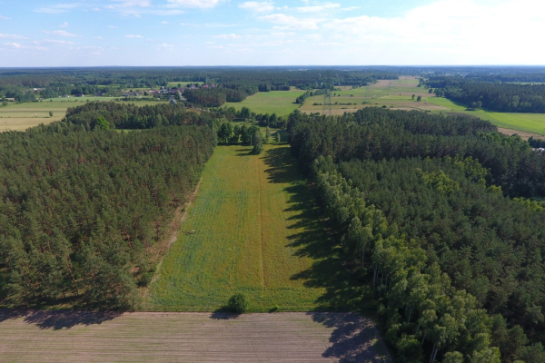 Ogłoszenie - Działka rolna z warunkami zabudowy w Prusowym Borku! Mazury - Szczytno - 300 000,00 zł