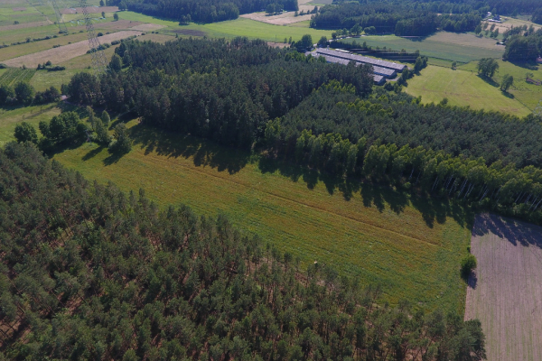 Ogłoszenie - Działka rolna z warunkami zabudowy w Prusowym Borku! Mazury - Szczytno - 300 000,00 zł