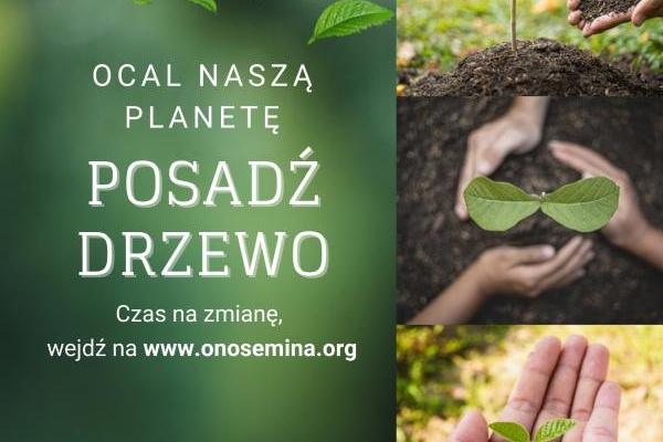 Ogłoszenie - Sadzenie drzew z organizacją, która zrobi to za Ciebie - Tomaszów Mazowiecki