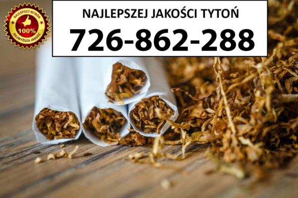 Ogłoszenie - Znakomity Tytoń jakość PREMIUM 65PLN/1KG - Swarzędz - 65,00 zł