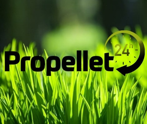 Ogłoszenie - Pellet Lava 6mm Propellet24 Opole - Opole - 1 355,25 zł