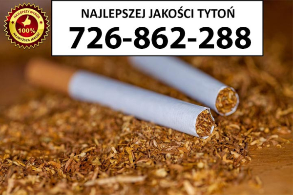 Ogłoszenie - Znakomity Tytoń jakość PREMIUM 75PLN/1KG - Nisko - 75,00 zł