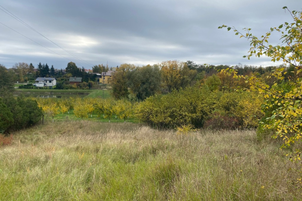 Ogłoszenie - Pyzdry ul Farna działka budowlana uzbrojona 1279 m2 - Września - 230 000,00 zł