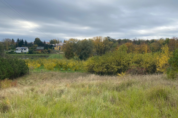 Ogłoszenie - Pyzdry ul Farna działka budowlana uzbrojona 1279 m2 - Września - 230 000,00 zł