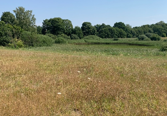 Ogłoszenie - Działki nad jeziorem - Zachodniopomorskie - 6 000 000,00 zł