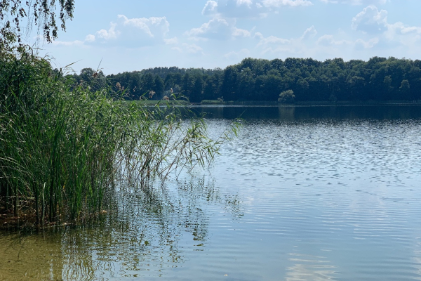 Ogłoszenie - Działki nad jeziorem - Zachodniopomorskie - 6 000 000,00 zł