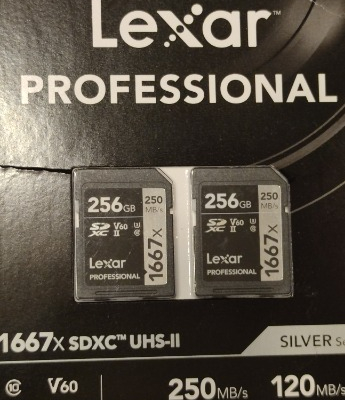 Ogłoszenie - Lexar Professional 2-pak 2x256 GB 250/120 MB/s 4K - Wola - 930,00 zł