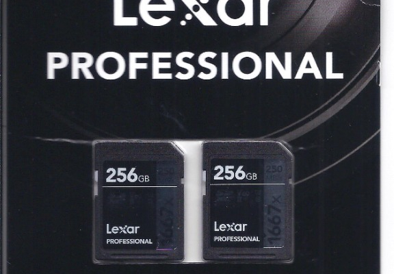 Ogłoszenie - Lexar Professional 2-pak 2x256 GB 250/120 MB/s 4K - Wola - 650,00 zł