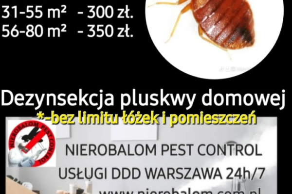 Ogłoszenie - Dezynsekcja zwalczające pluskwy domowe - Żoliborz - 250,00 zł