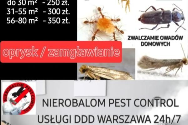 Ogłoszenie - Dezynsekcja zwalczające owady. - Żoliborz - 250,00 zł