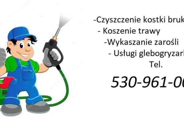 Ogłoszenie - Czyszczenie kostki brukowej/elewacji/dachów oraz usługi koszenia trawnikow - Kujawsko-pomorskie - 10,00 zł