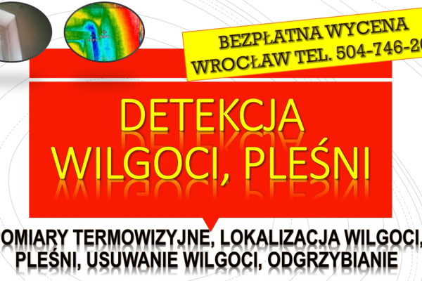Ogłoszenie - Wykrycie pleśni, tel. 504-746-203. Wrocław, wykrywanie, pleśń, lokalizacja wycieku, wilgoci. Osuszanie mieszkania. - Wrocław