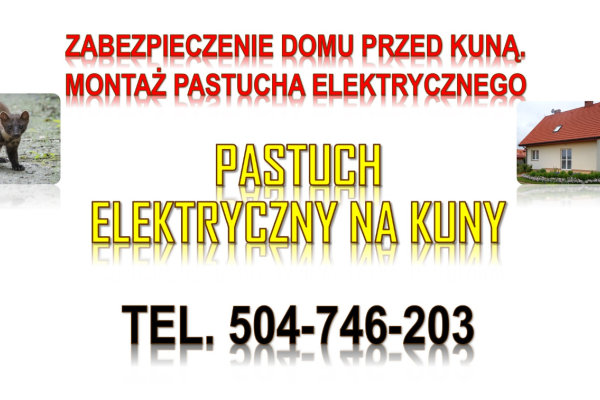 Ogłoszenie - Ile kosztuje pastuch elektryczny na kuny? Tel. 504-746-203, montaż. Zabezpieczenie domu przed kuną.