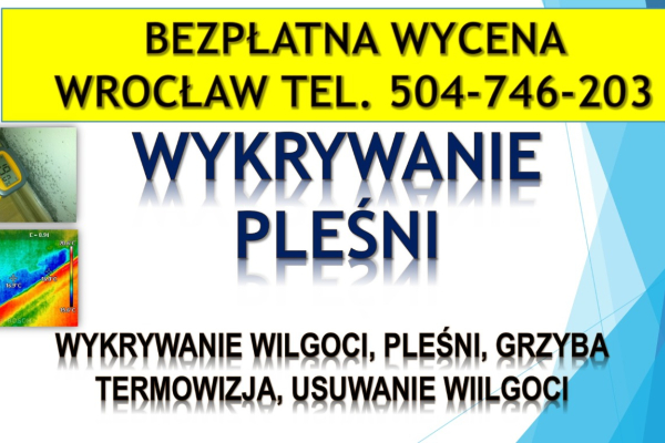 Ogłoszenie - Wykrycie grzyba w mieszkaniu, tel. 504-746-203, Wrocław, lokalizacja pleśni i wilgoci.   Jak pozbyć się grzyba ? - Wrocław