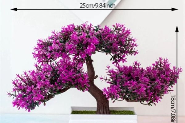 Ogłoszenie - Drzewko Bonsai - Poznań - 39,00 zł