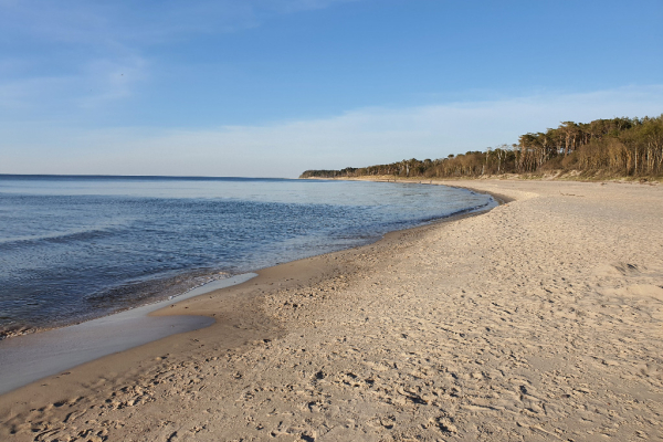 Ogłoszenie - Domki nad morzem w Rusinowie - Zachodniopomorskie - 250,00 zł