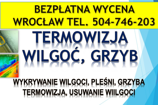 Ogłoszenie - Wykrycie grzyba w mieszkaniu, tel. 504-746-203, Wrocław, lokalizacja pleśni i wilgoci.   Jak pozbyć się grzyba ? - Wrocław