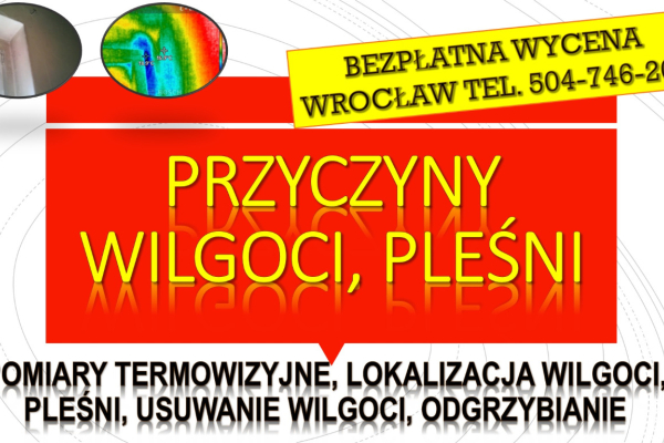 Ogłoszenie - Wykrycie pleśni, tel. 504-746-203. Wrocław, wykrywanie, pleśń, lokalizacja wycieku, wilgoci. Osuszanie mieszkania. - Wrocław