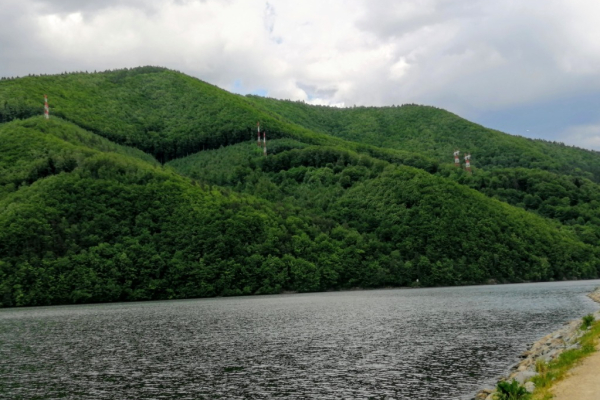 Ogłoszenie - Pokkoje gościnne - Śląskie - 25,00 zł