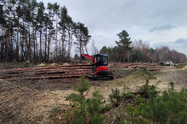 Ogłoszenie - Wycinka drzew, oczyszczanie działek, pielęgnacja koron - Lubelskie