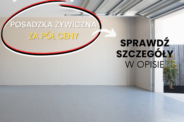 Ogłoszenie - Posadzka Żywiczna Do Garażu Za Pół Ceny - Katowice - 150,00 zł