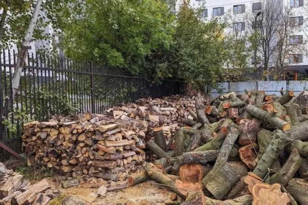 Ogłoszenie - Drewno opałowe cięte w kawałkach - Bochnia - 150,00 zł