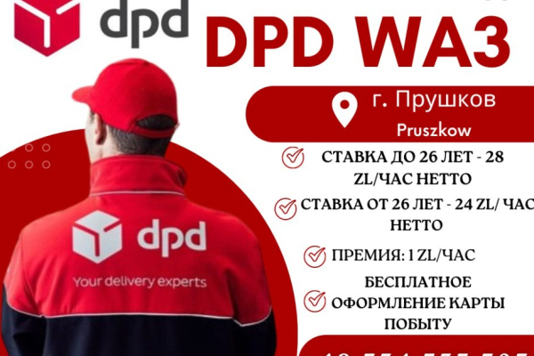Ogłoszenie - Praca na dis - Pruszków - 5 000,00 zł