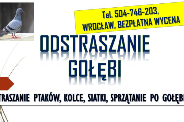 Ogłoszenie - Odstraszanie gołębi, Wrocław, tel. 504-746-203. Płoszenie ptaków, cena - Wrocław