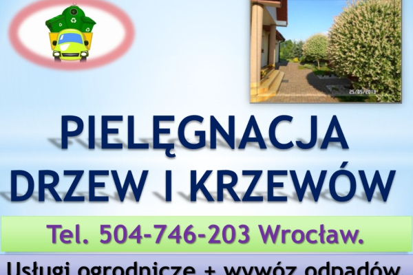 Ogłoszenie - Koszenie działki, tel 504-746-203, przycięcie żywopłotu, tui, ogrodnik, cena Usługi koszenie zarośli, Wrocław - Wrocław