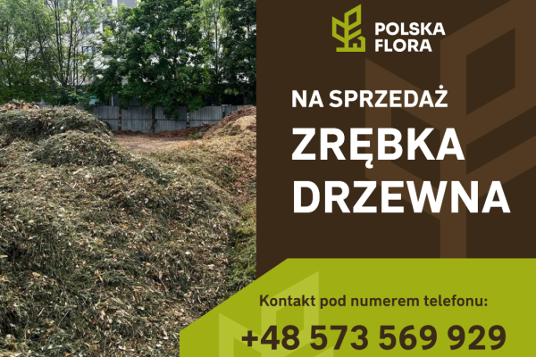 Ogłoszenie - Zrębki drzewne - Skawina - 40,00 zł