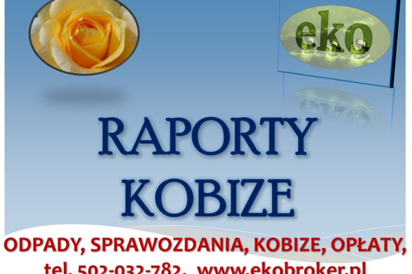 Ogłoszenie - Kobize, opłaty środowiskowe, obsługa firm, cena, tel 502-032-782, raportowanie. Wykonanie raportu dla zakładu. - Wrocław