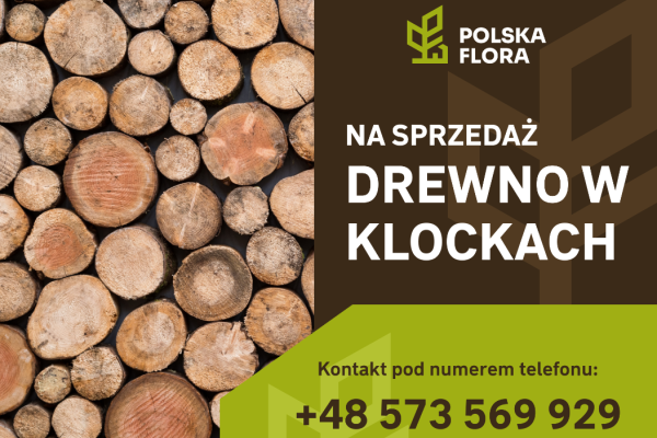 Ogłoszenie - Drewno opałowe cięte w kawałkach - Skawina - 150,00 zł