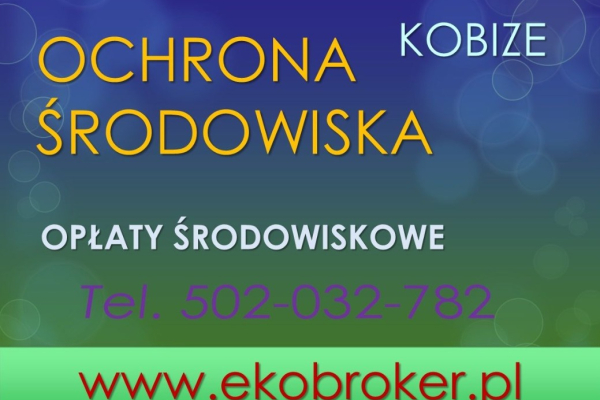 Ogłoszenie - Kobize, opłaty środowiskowe, obsługa firm, cena, tel 502-032-782, raportowanie. Wykonanie raportu dla zakładu. - Wrocław