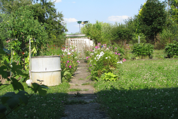 Ogłoszenie - Ogródek działkowy ROD Krapkowice - Otmęt - Krapkowice - 9 300,00 zł