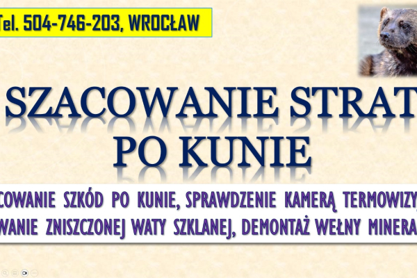 Ogłoszenie - Szacowanie szkód po kunie, tel. 504-746-203, Wrocław. Wycena szkody, wełna mineralna - Wrocław