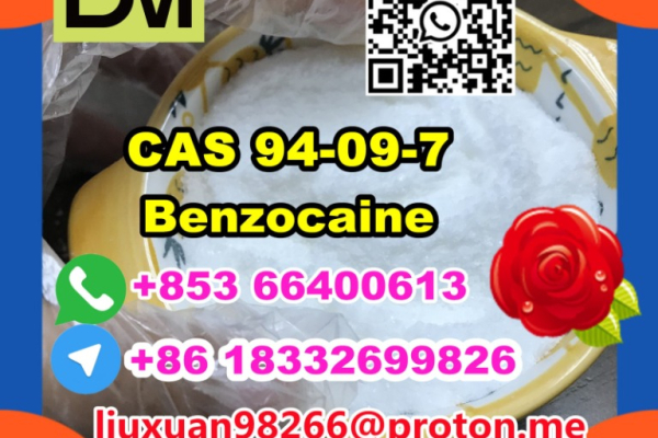 Ogłoszenie - Manufacturer Supply Raw Material CAS 94-09-7 Benzocaine - Lubuskie - 100,00 zł