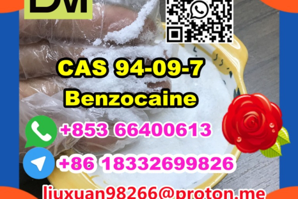 Ogłoszenie - Manufacturer Supply Raw Material CAS 94-09-7 Benzocaine - Lubuskie - 100,00 zł