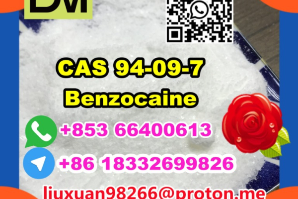 Ogłoszenie - Manufacturer Supply Raw Material CAS 94-09-7 Benzocaine - Lubuskie - 100,00 zł