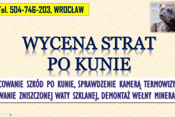 Ogłoszenie - Szacowanie szkód po kunie, tel. 504-746-203, Wrocław. Wycena szkody, wełna mineralna - Wrocław