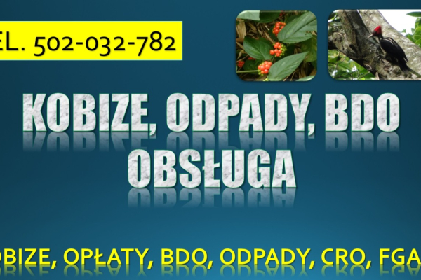 Ogłoszenie - Obsługa firmy z ochrony środowiska, tel. 504-746-203. Szkolenie indywidualne, pomoc, obowiązki w firmie - Wrocław