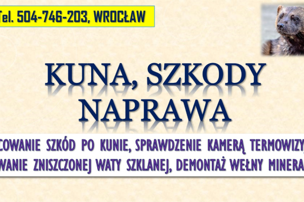 Ogłoszenie - Szacowanie szkód po kunie, tel. 504-746-203, Wrocław. Wycena szkody, wełna mineralna - Wrocław