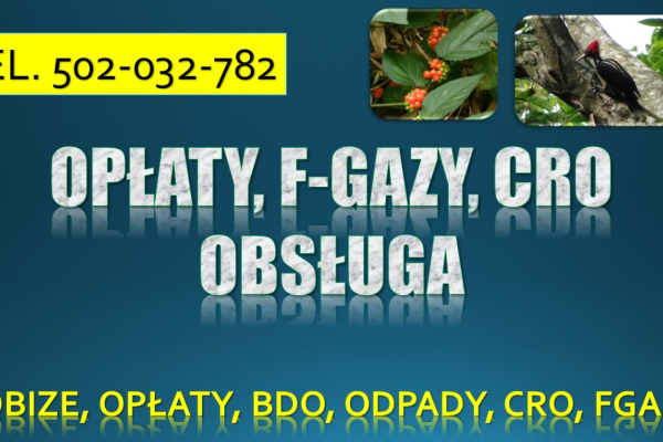 Ogłoszenie - Obsługa firmy z ochrony środowiska, tel. 504-746-203. Szkolenie indywidualne, pomoc, obowiązki w firmie - Wrocław