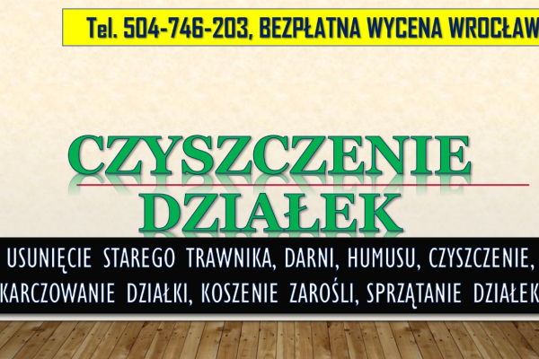 Ogłoszenie - Usunięcie starego trawnika, cennik, tel. 504-746-203. Wrocław, odnowienie, zarośli, krzaków. - Wrocław