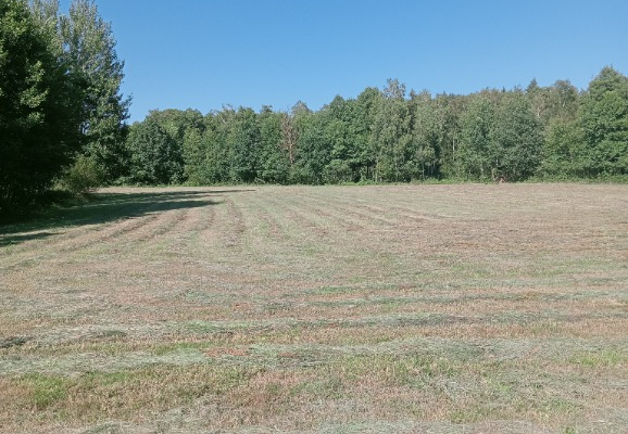 Ogłoszenie - Sprzedam gospodarstwo rolne - Wielkopolskie - 500 000,00 zł